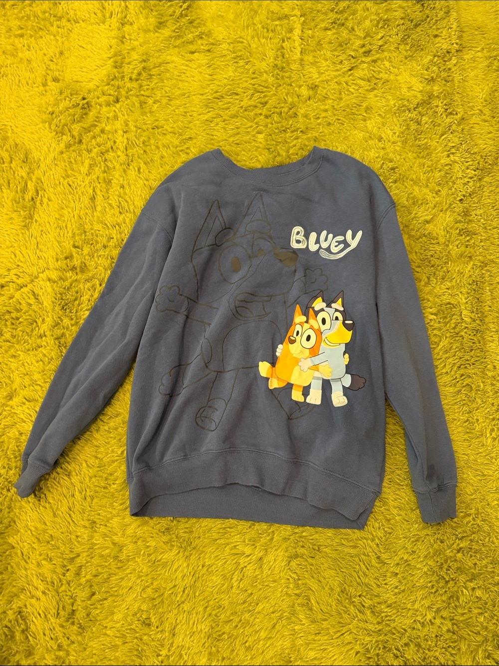 Hybrid Apparel Bluey Graphic Navy Crewneck Sweatshirt - Gray Blue